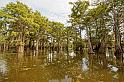 Lafayette_15