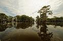 Lafayette_20