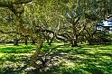 Lafayette_33