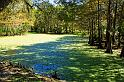 Lafayette_34