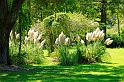 Lafayette_52