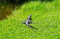 Lafayette_55