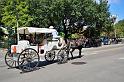 New_Orleans_05
