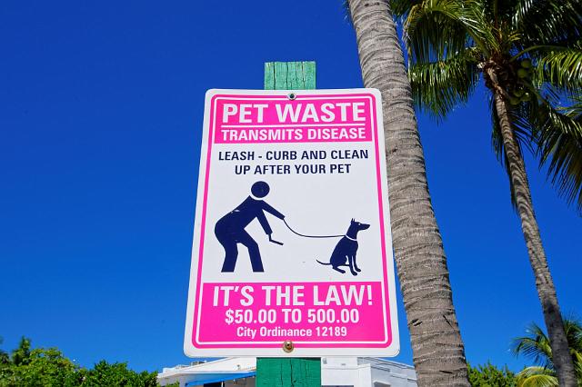 Miami_03.jpg