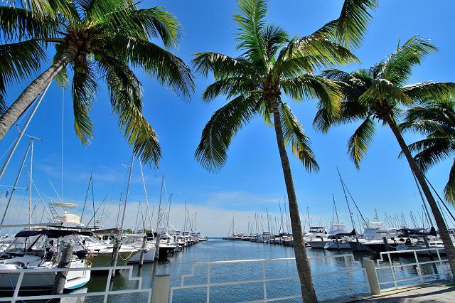 Miami_06.jpg