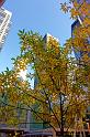 Calgary_0021