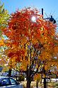 Canmore_0004