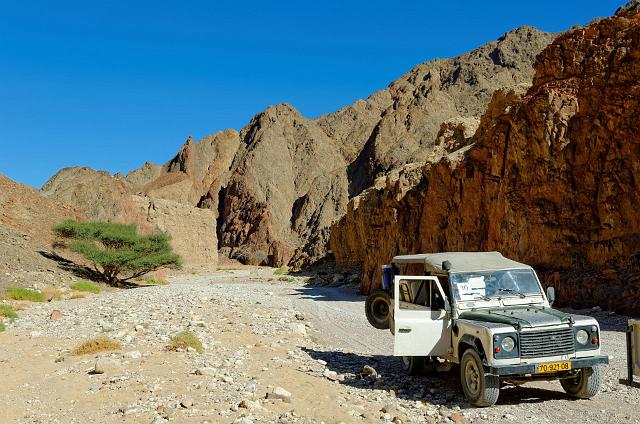 Image0099.jpg - (c) Daniel MILLET