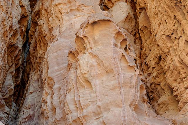 Image0154.jpg - (c) Daniel MILLET