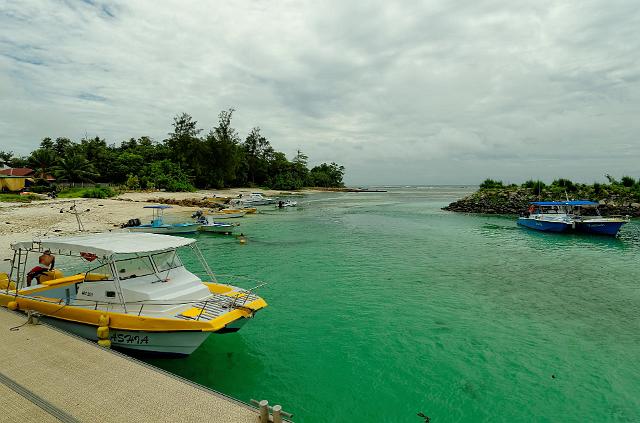 Image0226.jpg - (c) Daniel MILLET