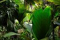 Image0218