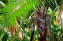 Image0220