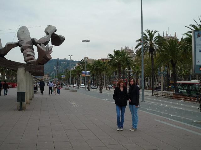 BA008.jpg