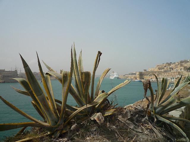LV012.jpg