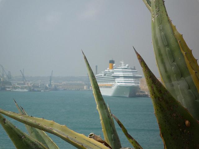 LV013.jpg