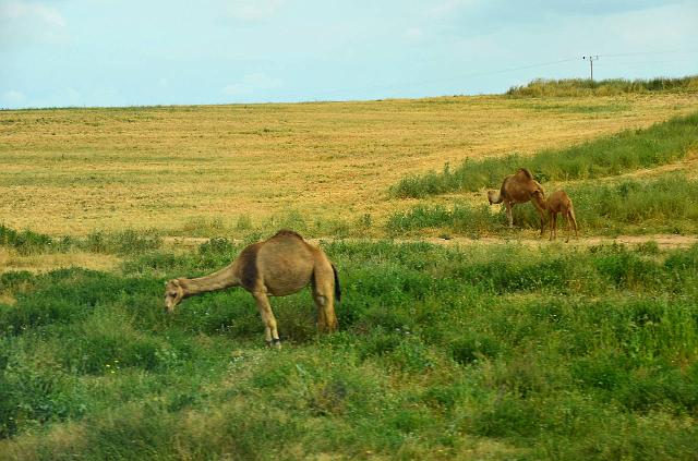 DSC_1000.jpg - (c) Daniel MILLET