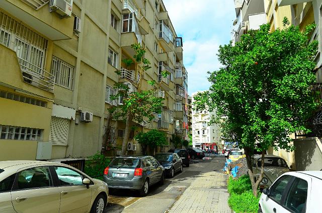 DSC_1566.jpg - (c) Daniel MILLET