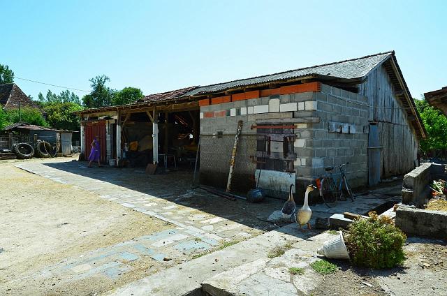 Lot020.jpg - (c) Daniel MILLET