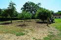 Lot029