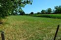 Lot055
