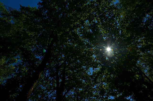 Lot020.jpg - (c) Daniel MILLET