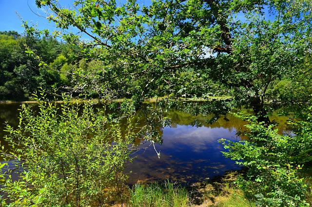 Lot027.jpg - (c) Daniel MILLET