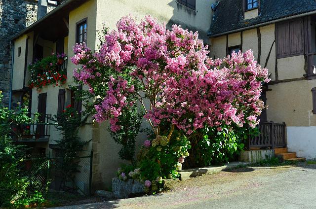 Lot005.jpg - (c) Daniel MILLET