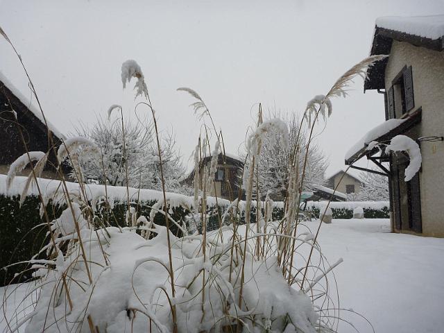 Image015.jpg