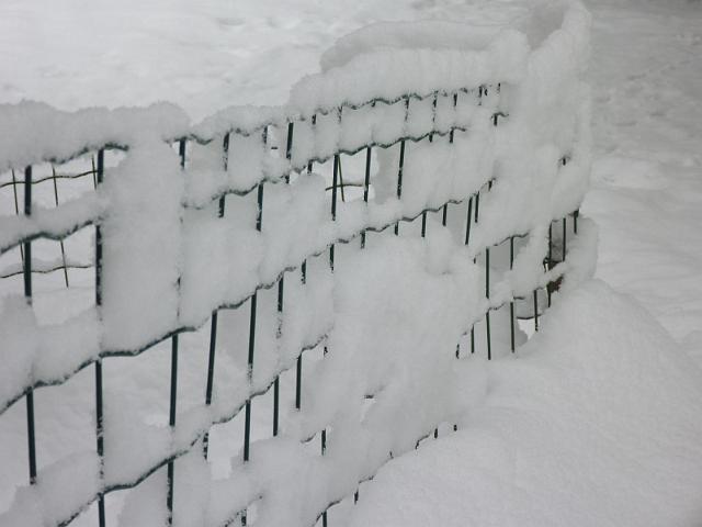 Image016.jpg