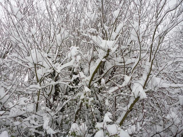 Image001.jpg