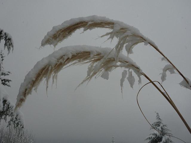 Image002.jpg