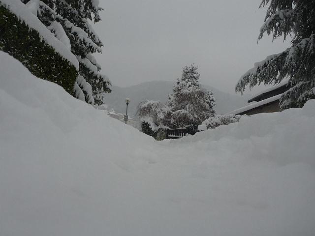 Image004.jpg