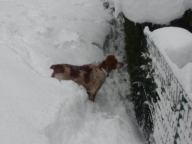 Image005.jpg