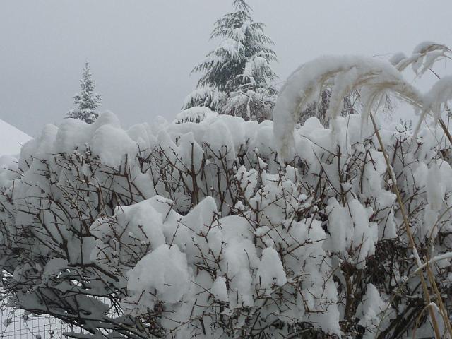 Image014.jpg