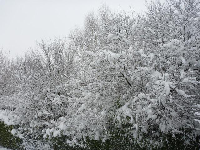Image017.jpg