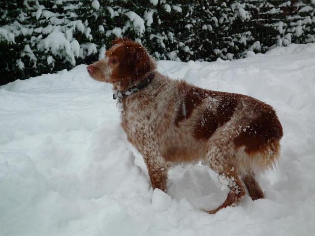 Image020.jpg