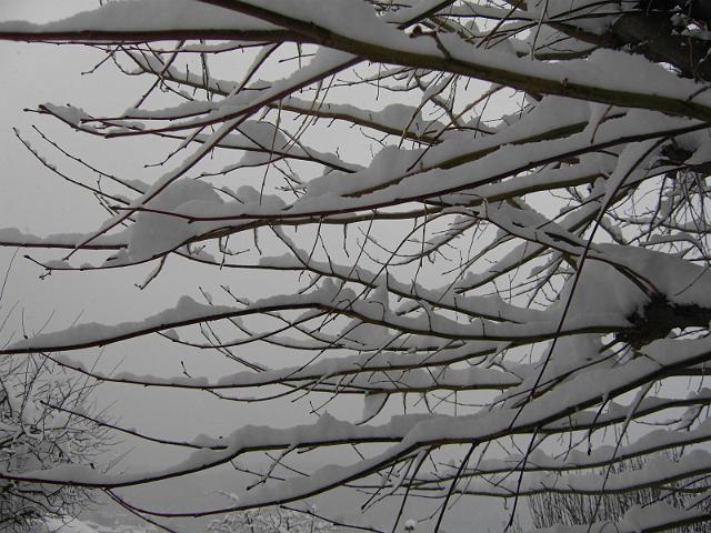 Image021.jpg