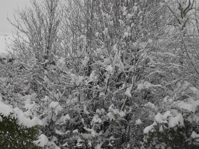 Image023.jpg