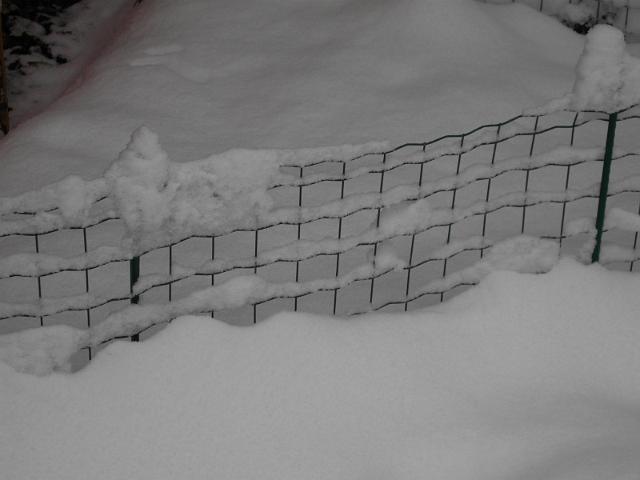 Image024.jpg