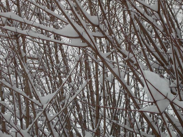 Image025.jpg