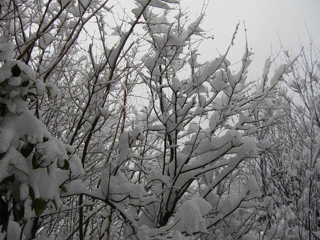 Image027.jpg
