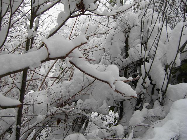 Image028.jpg