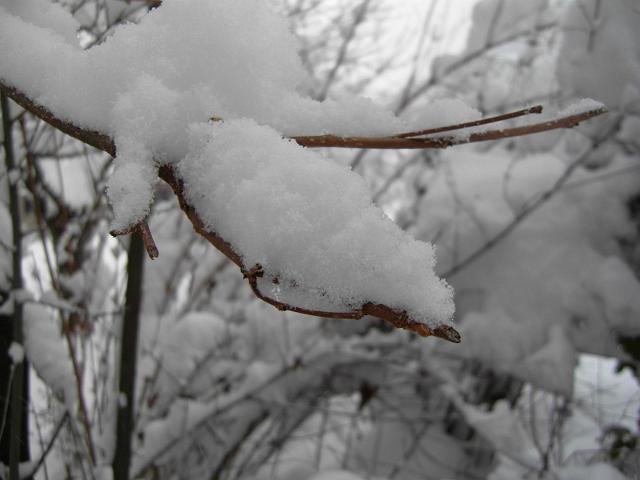 Image029.jpg