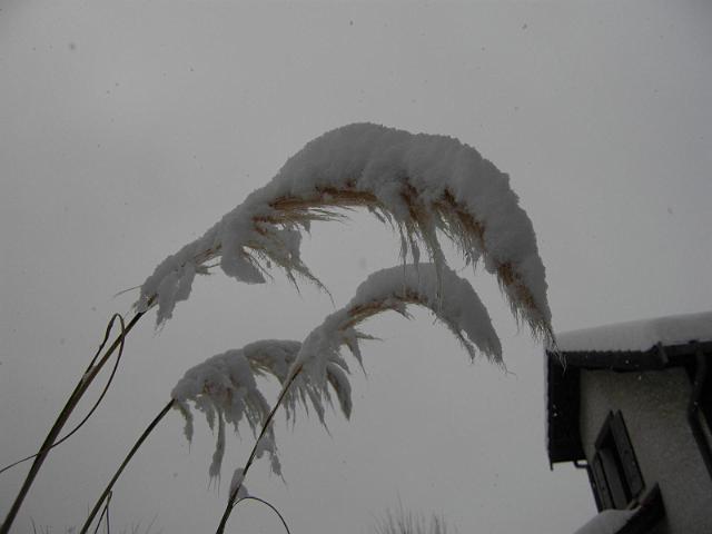 Image032.jpg
