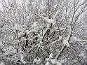 Image001