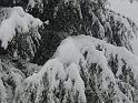 Image011