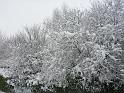 Image017