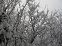 Image027