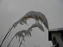 Image032